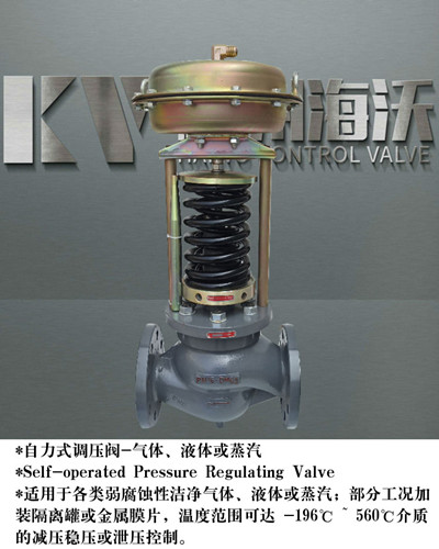 蒸汽減（jiǎn）壓閥