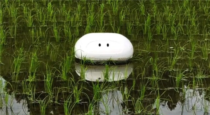 鴨子(zǐ)機(jī)器人 鴨子機器人