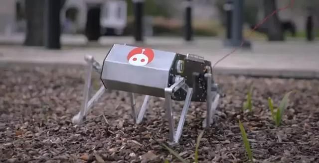 t01ecfed06e06fa4923 t01ecfed06e06fa4923