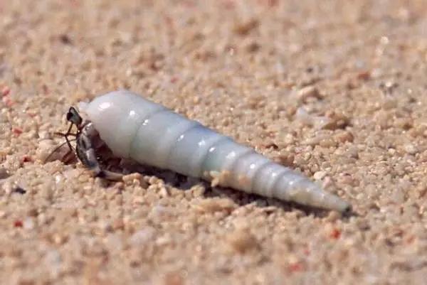 微信圖片_20210621164253