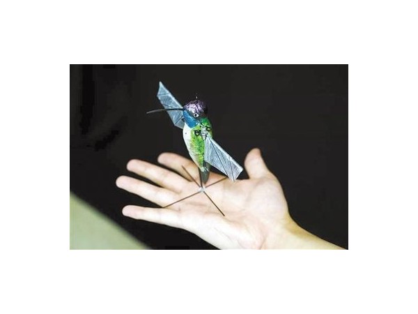 可萌可凶 ▎盤點2019年那些有（yǒu）趣的仿生（shēng）機器人