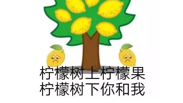 2019年熱門網絡詞你（nǐ）知道多少？