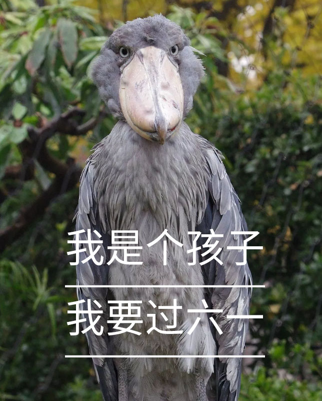 微信圖片_20190531135325